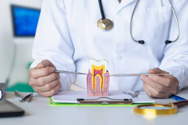 Best Knocked-Out Tooth Emergency  in Baxter Estates, NY